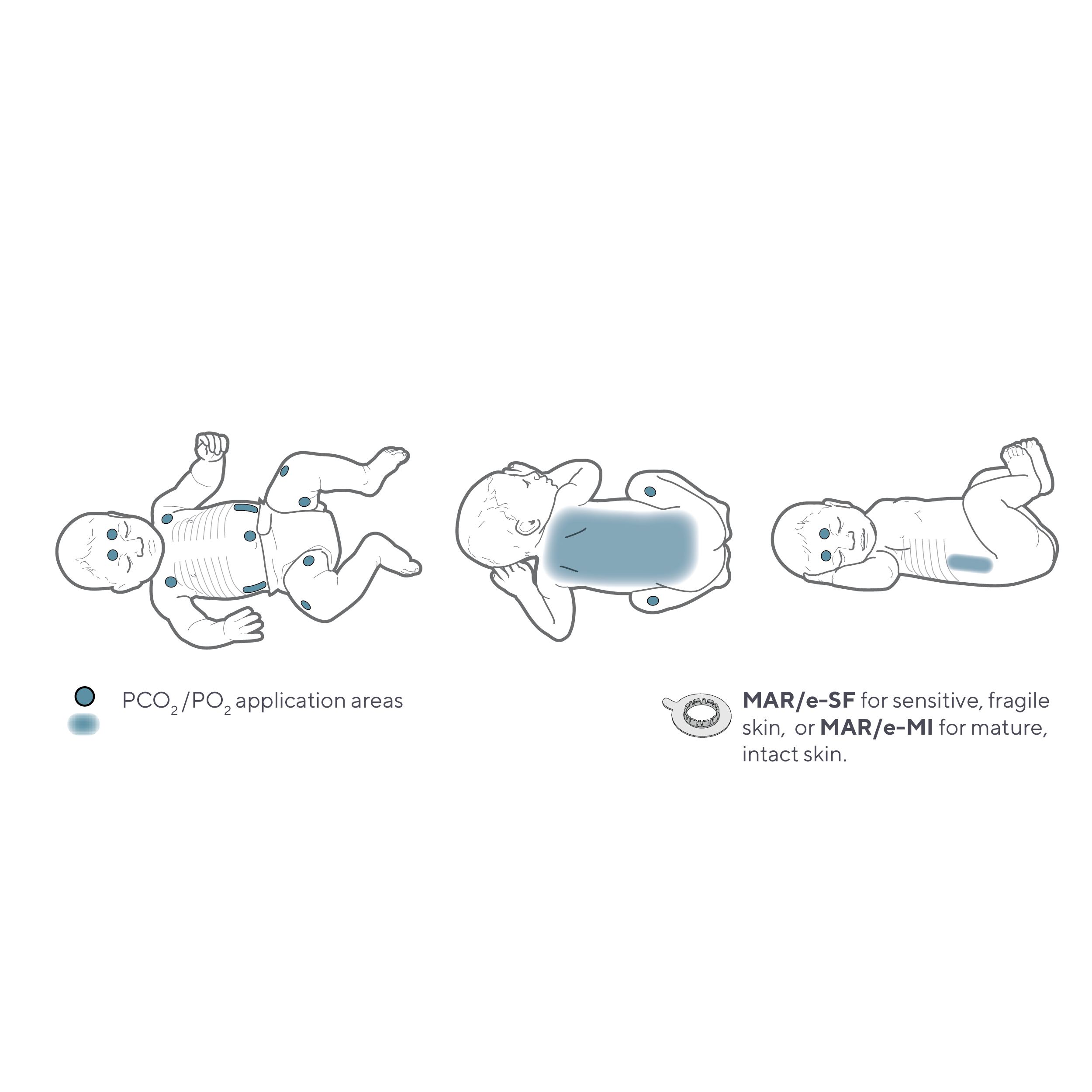 MicrosoftTeams-image (119)